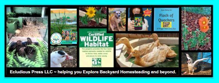 Pics of my homestead writing inspiration, all on one banner.