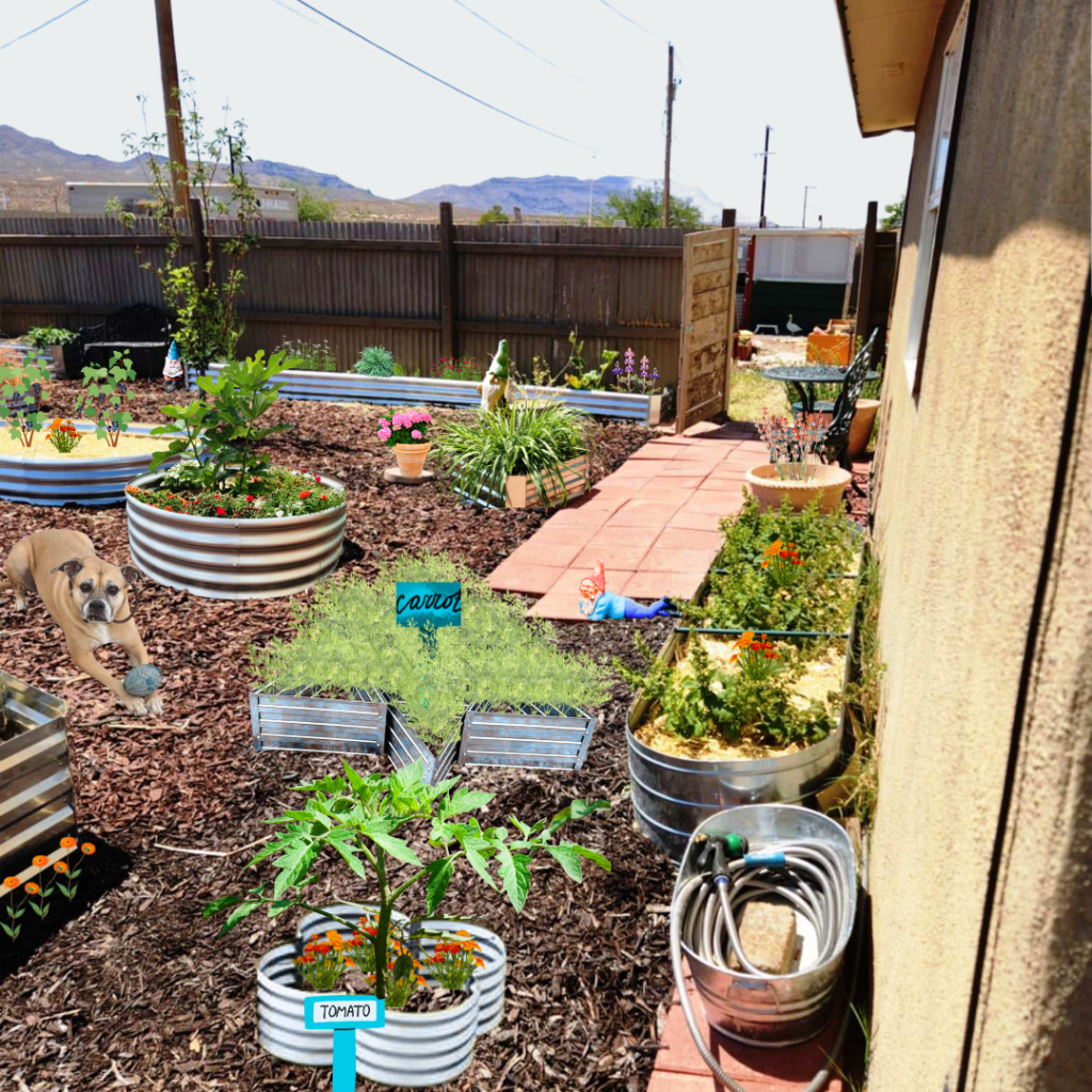 City homesteading with raised beds